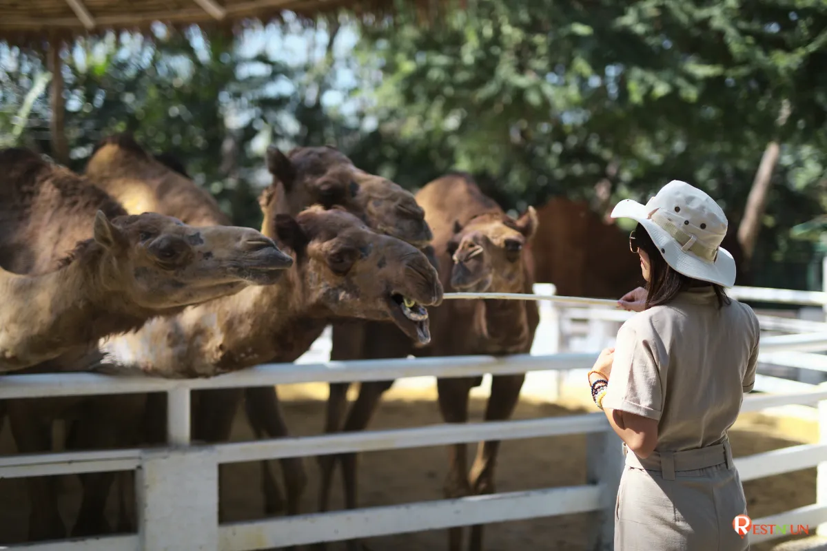 Safari World สวนสัตว์ขนาดใหญ่และมีกิจกรรมมากมาย